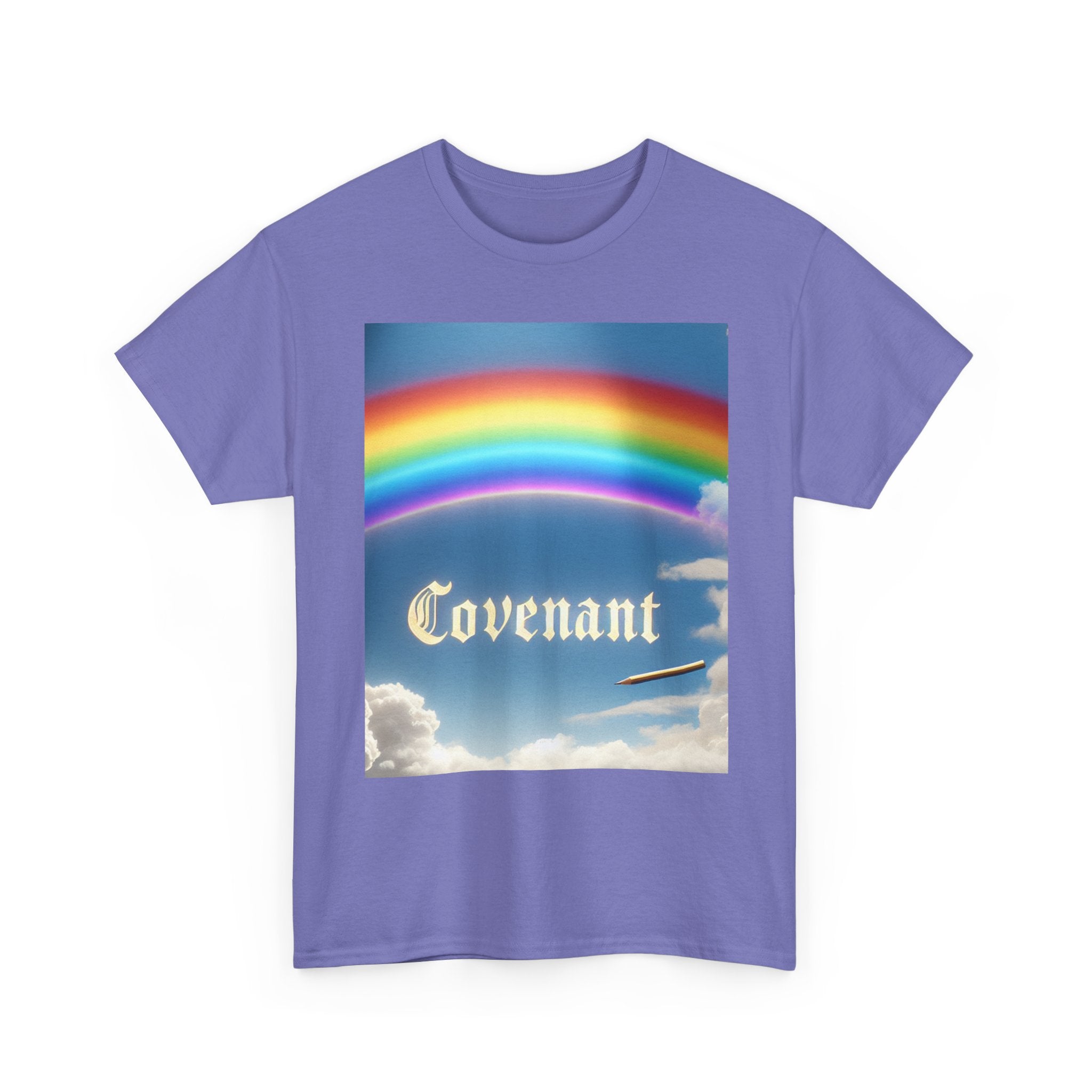 Covenant Rainbow Cotton Tee, Faith Shirt, Rainbow Shirt