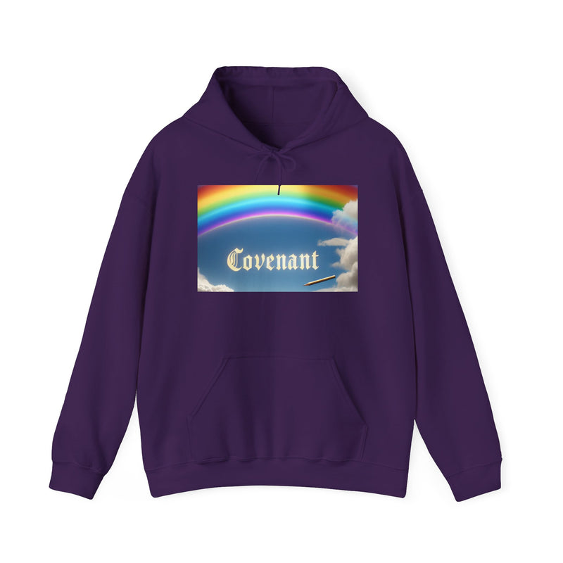 Covenant Rainbow Hoodie, Faith Hoodie, Everyday Wear