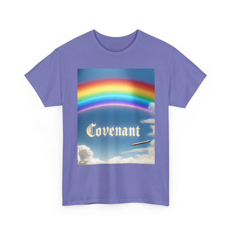 Covenant Rainbow Cotton Tee, Faith Shirt, Rainbow Shirt