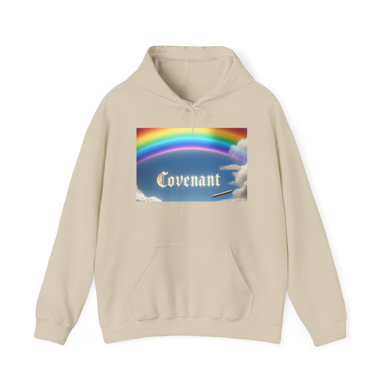 Covenant Rainbow Hoodie, Faith Hoodie, Everyday Wear
