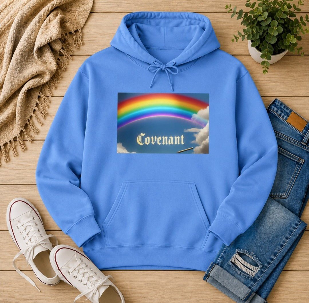 Covenant Rainbow Hoodie, Faith Hoodie, Everyday Wear - faithcovenant