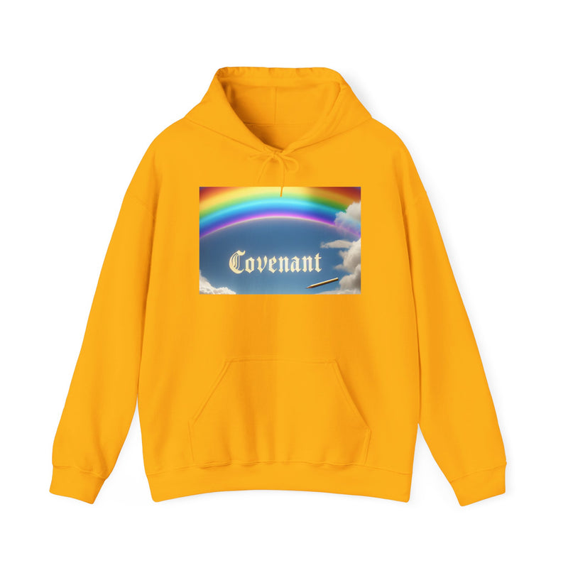 Covenant Rainbow Hoodie, Faith Hoodie, Everyday Wear