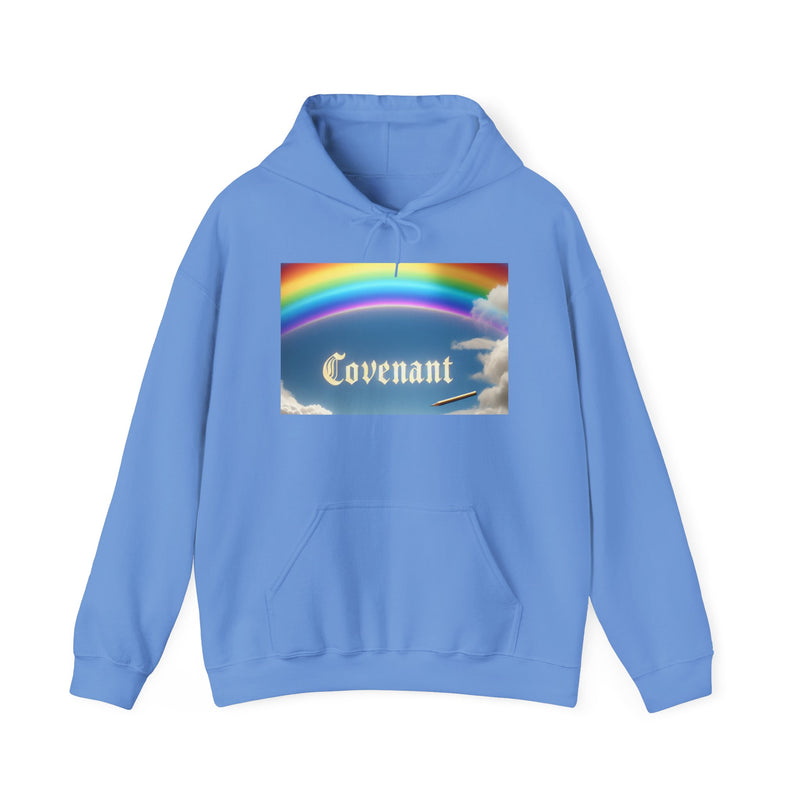 Covenant Rainbow Hoodie, Faith Hoodie, Everyday Wear
