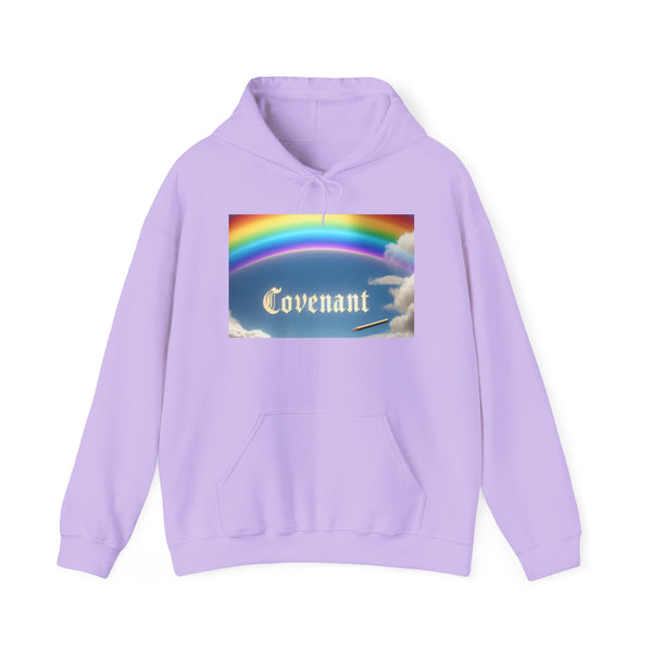 Covenant Rainbow Hoodie, Faith Hoodie, Everyday Wear