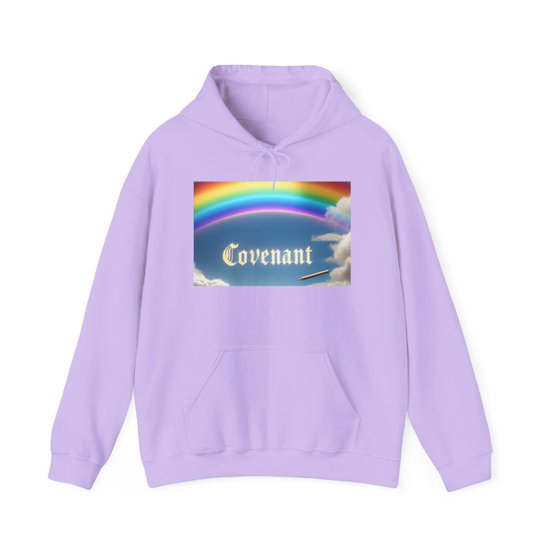 Covenant Rainbow Hoodie, Faith Hoodie, Everyday Wear