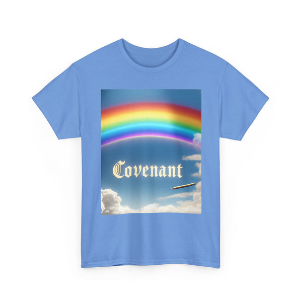 Covenant Rainbow Cotton Tee, Faith Shirt, Rainbow Shirt